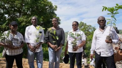 Le président Jovenel Moïse défend les déclarations de sa femme. « Nap plante dlo ». - Martine Moïse