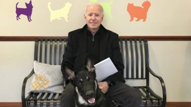 Etats-Unis: Le président élu Joe Biden se fracture le pied en jouant avec son chien - Joe Biden