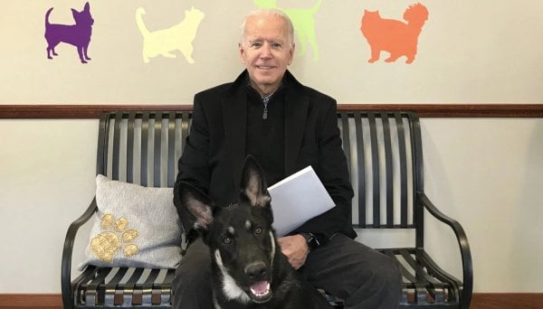 Etats-Unis: Le président élu Joe Biden se fracture le pied en jouant avec son chien - Joe Biden