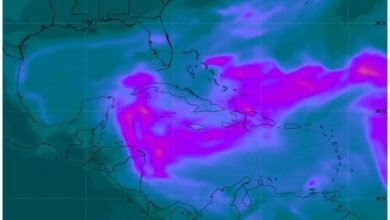 15 juin 2021: La brume de sable du Sahara est de retour sur Haïti - Environment