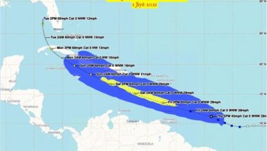 Quatre départements menacés par la tempête ELSA - Environment