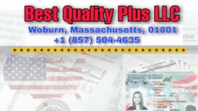 USA: Best Quality Plus LLC, la référence en matière de services Juridiques – TPS, green card, naturalisation... - Tps