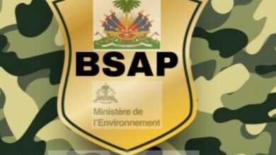 Tous les badges des agents de la BSAP sont annulés - Environment