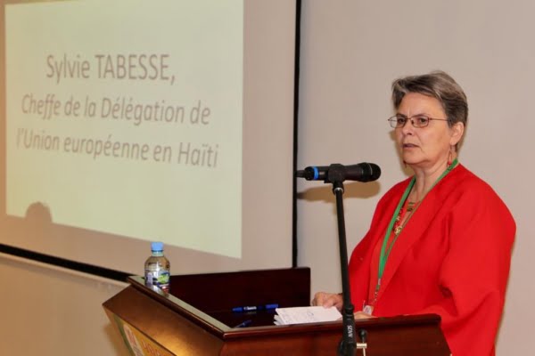 L'Union Européenne pose des conditions pour la réalisation des élections en Haïti - Sylvie Tabesse