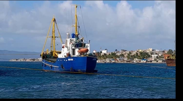 Trois pistolets et près de 100 mille cartouches saisis à la Douane de Port-de-Paix - Armes à feu saisis dans les douanes, Haïti, Port-de-Paix