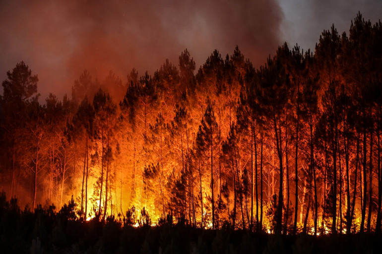 Un incendie dévastateur a  ravagé des habitations et des cultures agricoles - Incendie